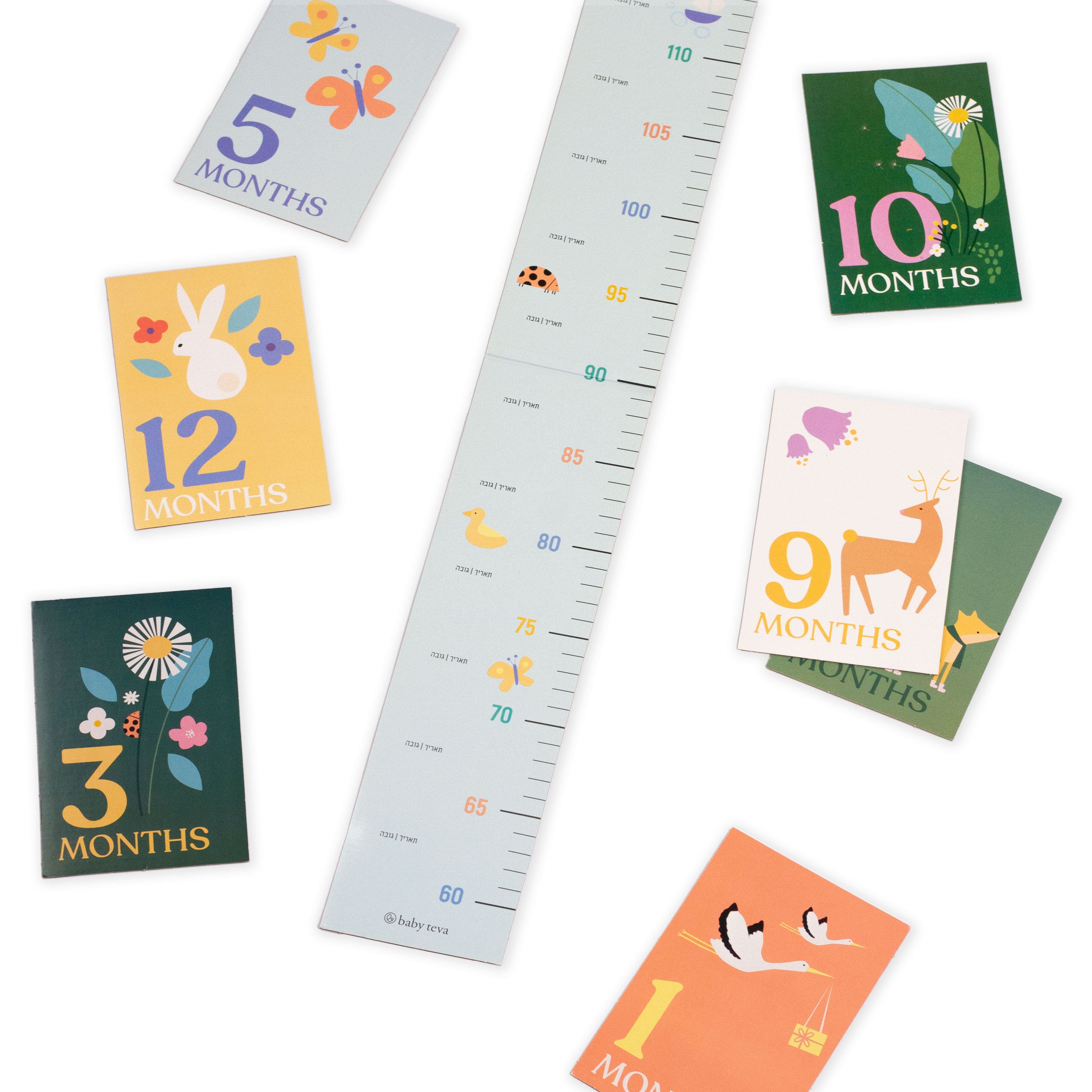Baby teva growth chart and monthly milestone cards, illustrated with animals and flowers