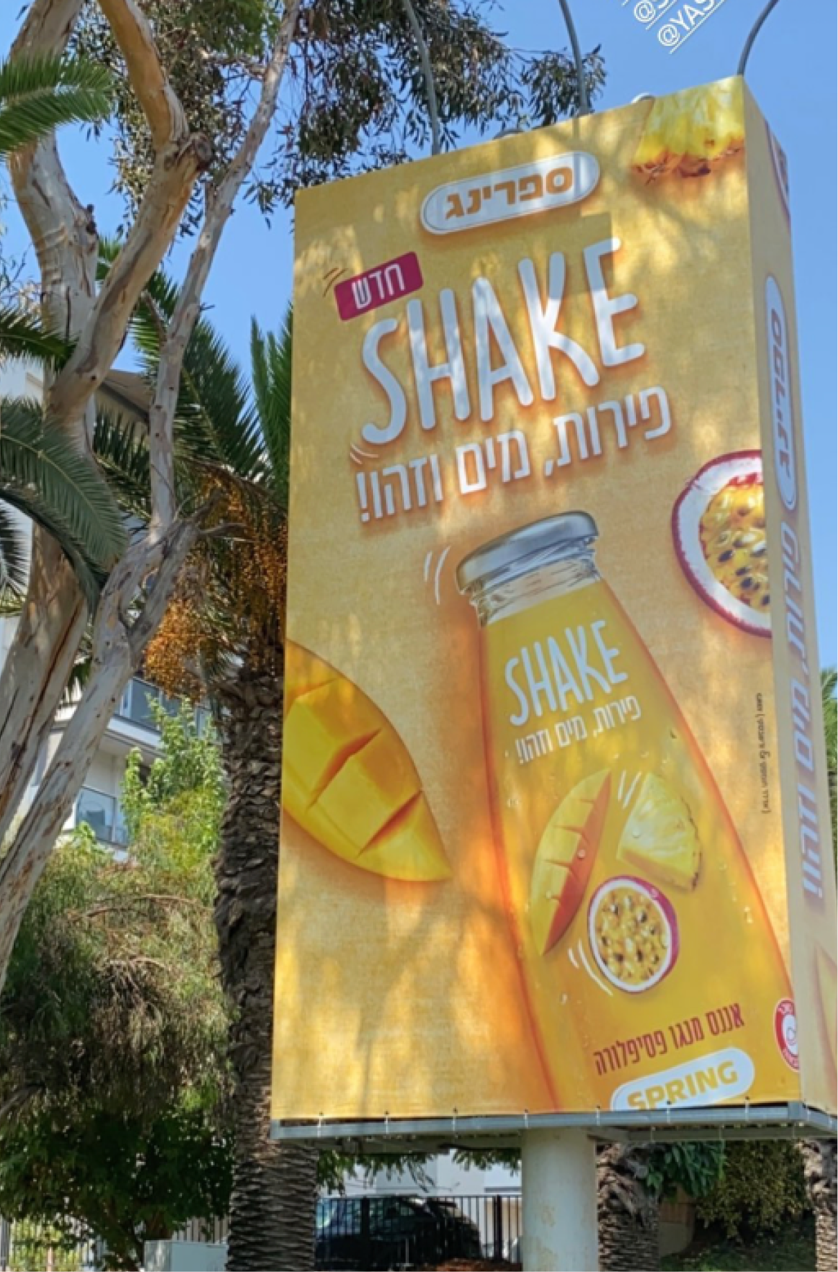 שלט חוצות גבוה של ספרינג שייק בטעם מנגו-פסיפלורה